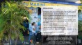 Bleu Marine Réunion pour les plongée sous marines 